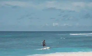 Le Foil Électrique : Le Nouveau Sport en Vague… Littéralement !