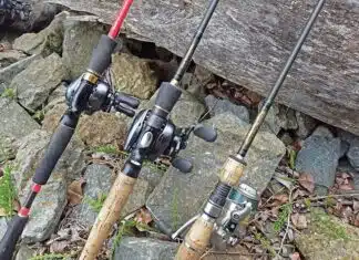 Où trouver votre canne à pêche carnassier