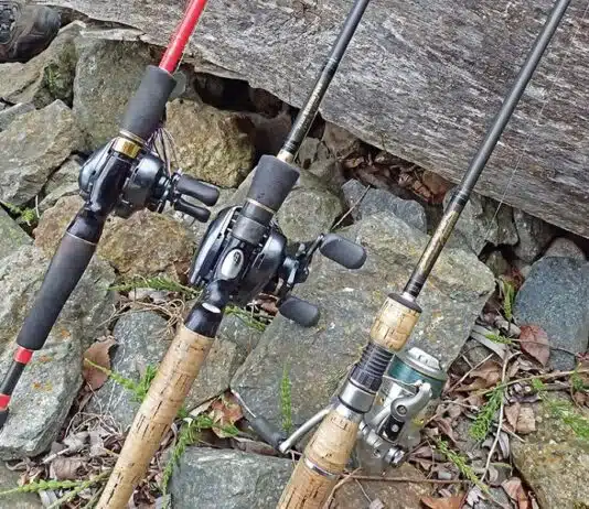 Où trouver votre canne à pêche carnassier
