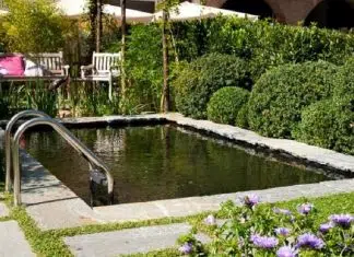 Votre piscine a verdi et les grenouilles grouillent ; Pas de panique !