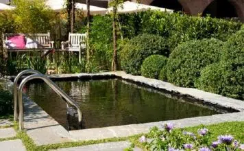 Votre piscine a verdi et les grenouilles grouillent ; Pas de panique !